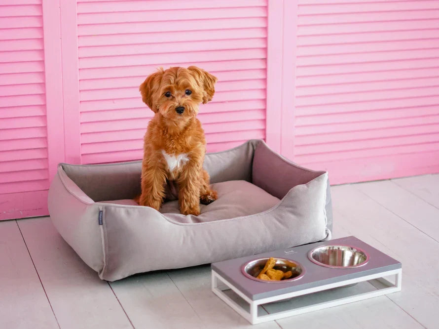 DREAMER orthopädisches Hundebett aus Möbelvelours / gegen Graben und Buddeln resistent