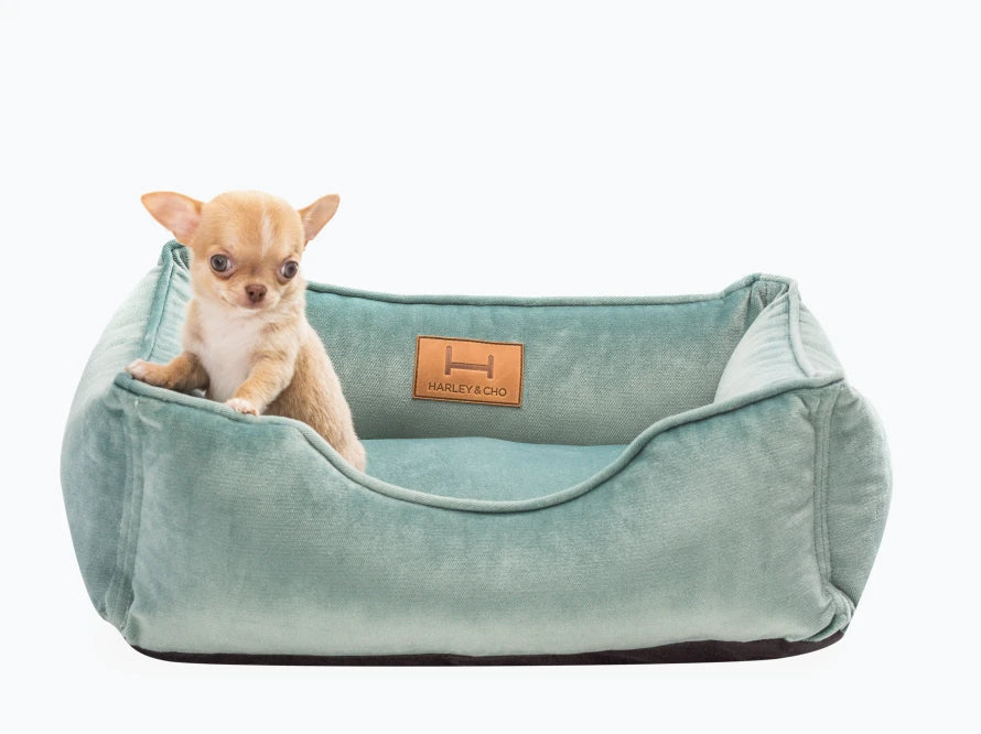 DREAMER orthopädisches Hundebett aus Möbelvelours / gegen Graben und Buddeln resistent