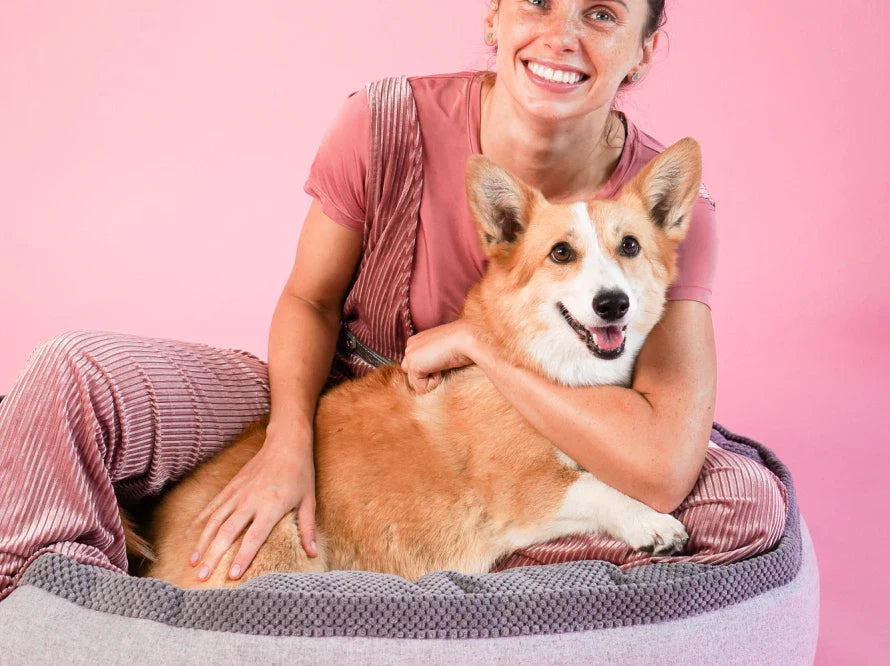 DONUT Hundebett aus langlebigem Soft-Touch-Möbelstoff