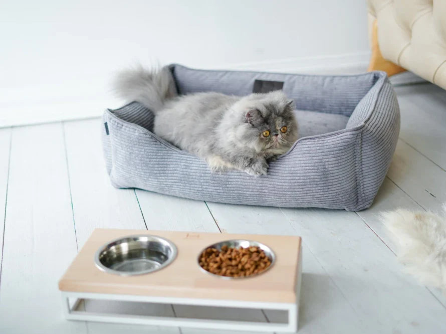 LUNCH BAR Katzennapf / Holz Napfständer mit zwei Edelstahlnäpfen für Katzen / weißer Metallrahmen
