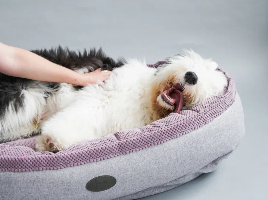 DONUT Hundebett aus langlebigem Soft-Touch-Möbelstoff