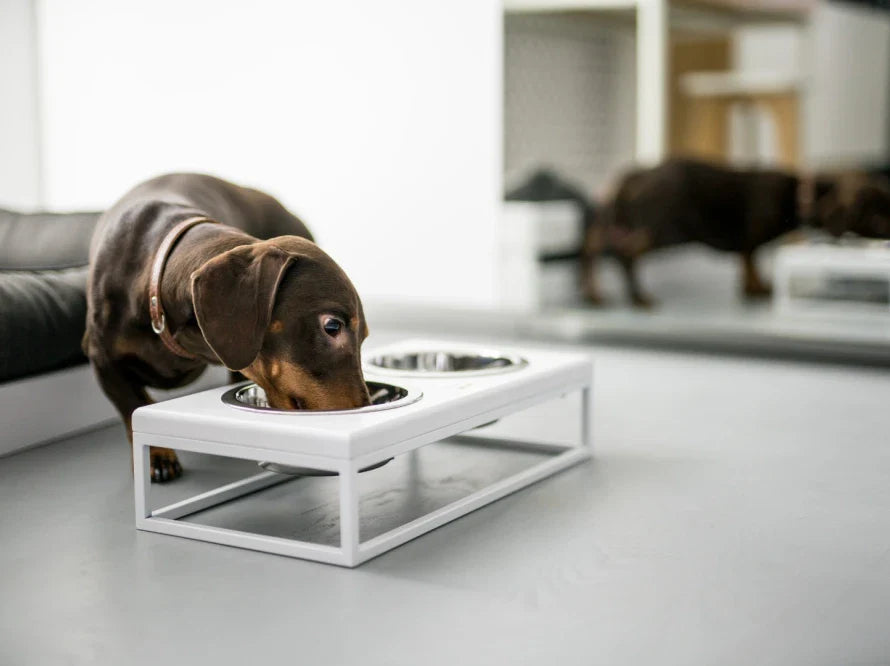 LUNCH BAR Hundenapf / Holz Napfständer mit zwei Edelstahlnäpfen für kleine Hunde / weißer Metallrahmen