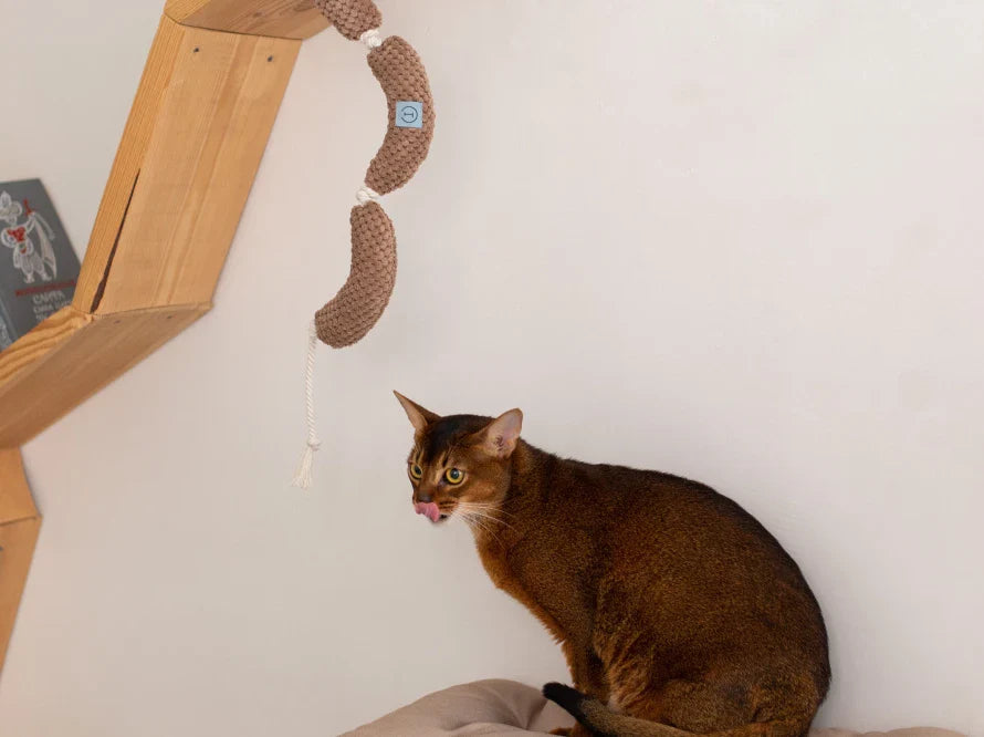 WÜRSTCHEN Katzenspielzeug / interaktives Plüschtier / sanftes Rascheln