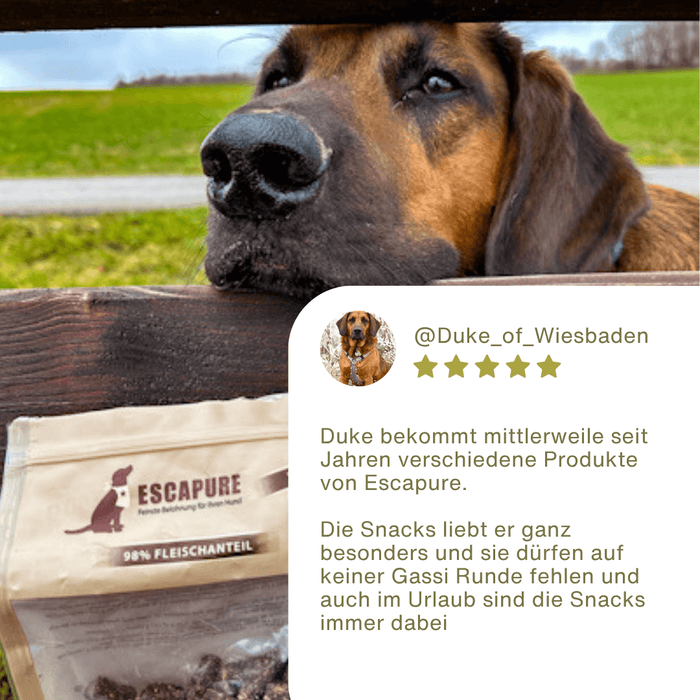 Pferde Snack