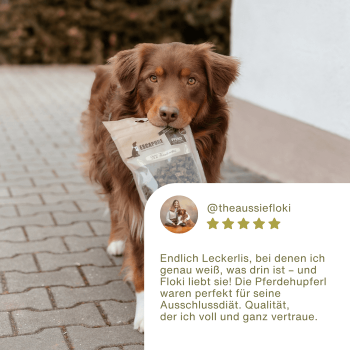 Pferde Snack Soft