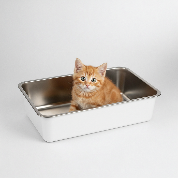 Katzentoilette Kitten Edelstahl