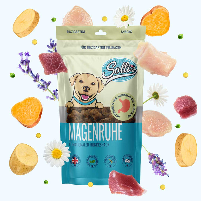 Funktionaler Snack Verdauung - Fördert eine gesunde Darmflora