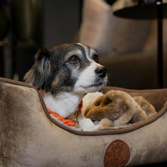 Hundebett Henri