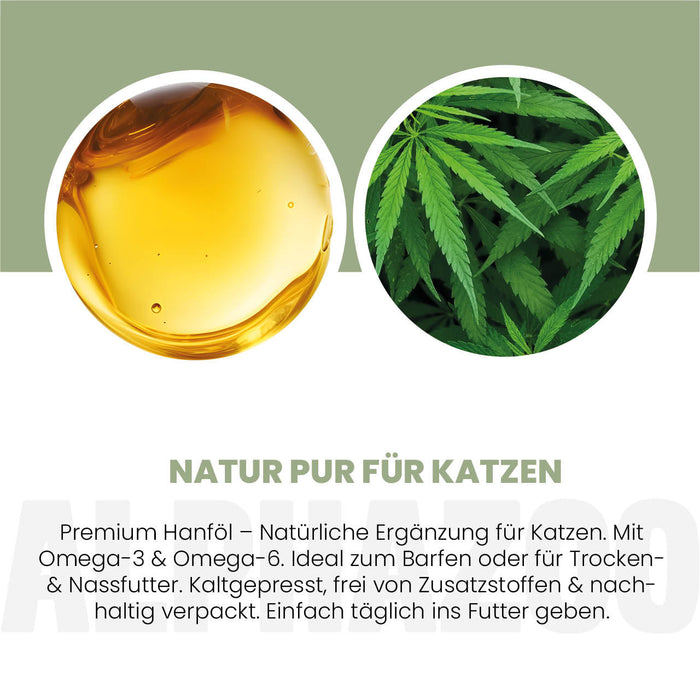 Hanföl für Katzen