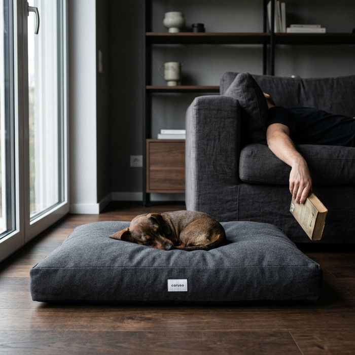 Hundebett Clean