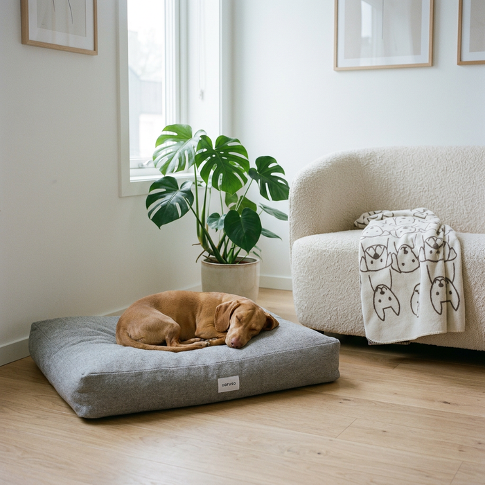 Hundebett Clean