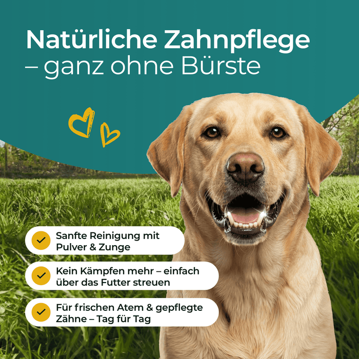 Hundpur® Zähne & Atem