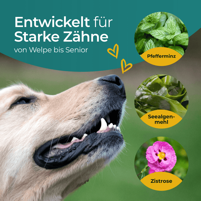 Hundpur® Zähne & Atem