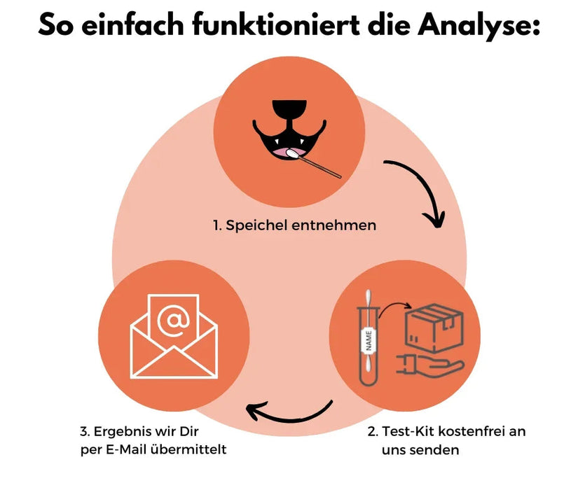 DNA Hunderassenbestimmung