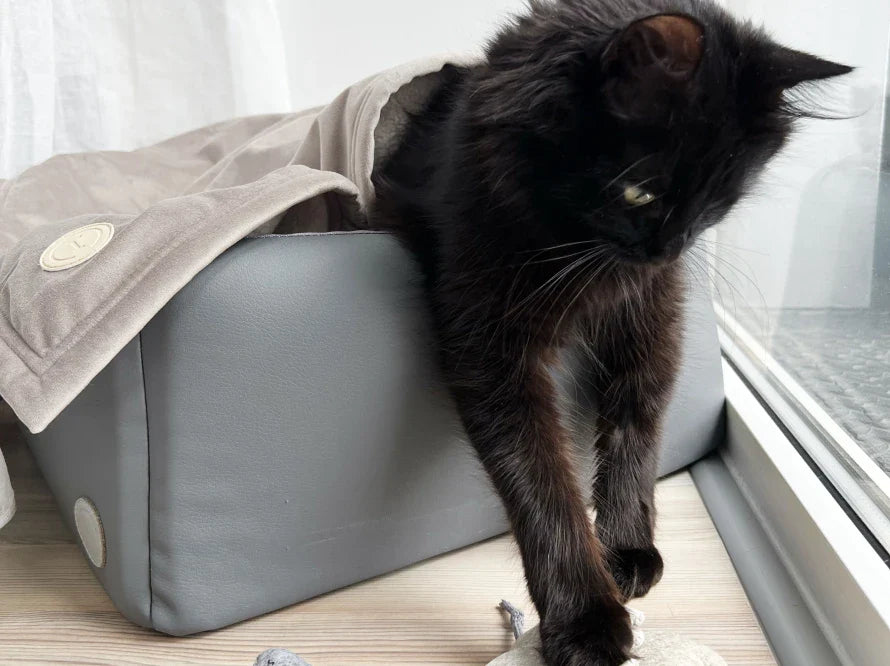 MAUS SHANTI Katzenspielzeug mit Katzenminze aus Wollfilz / Handgemachte