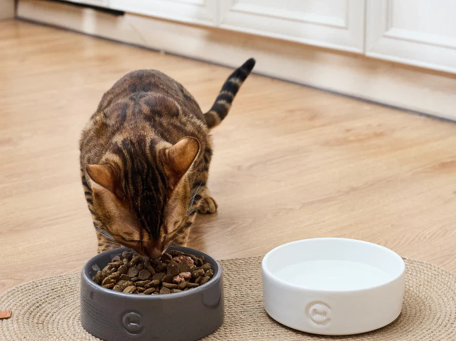 KATZENNAPF aus Keramik / Kugelboden / Handgefertigt