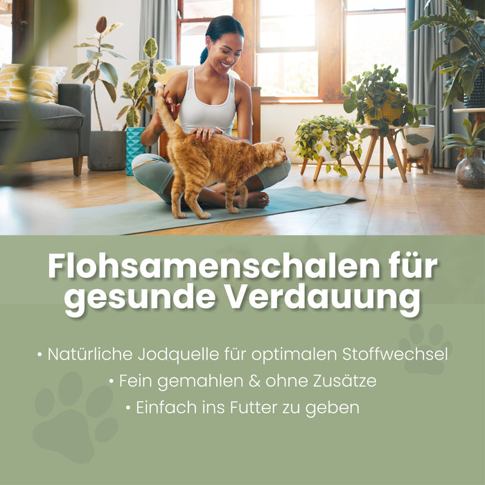 Vlozaadschillen voor katten