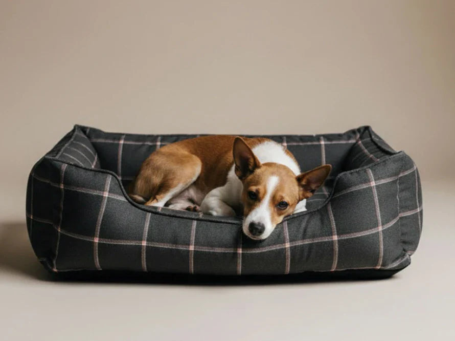 DREAMER wasserabweisendes Hundebett mit Handwerklich