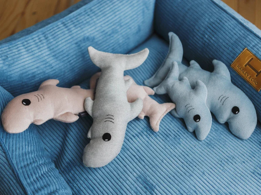 BABY SHARK Katzenspielzeug / interaktives Plüschtier / sanftes Rascheln