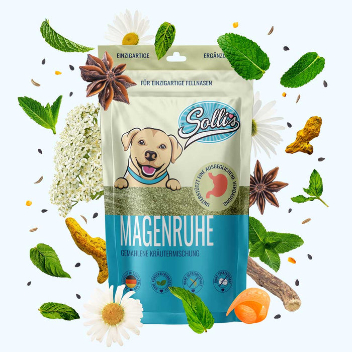 Kräuterliebe Magenruhe - Für einen entspannten Magen