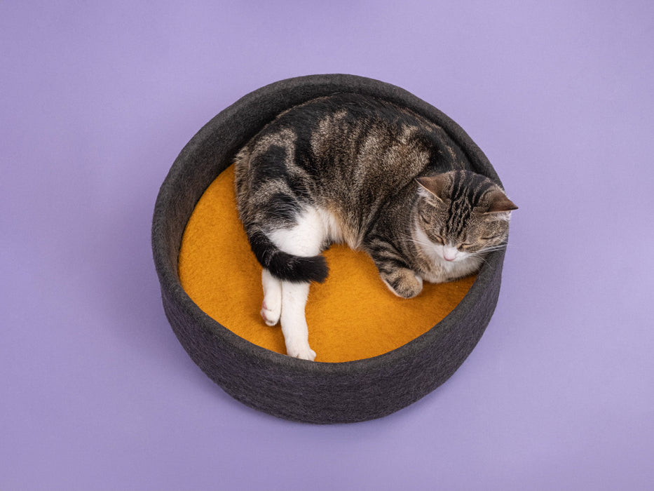 Kuno Katzenkorb