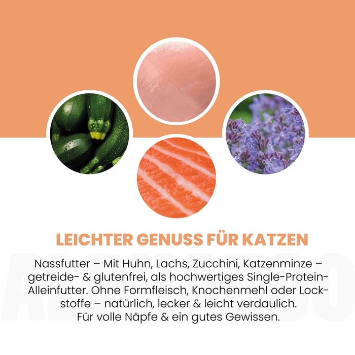 Lachs + Huhn Nassfutter für Katze