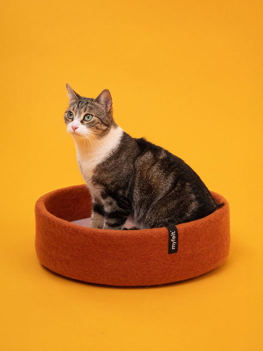 Lora Katzenkorb