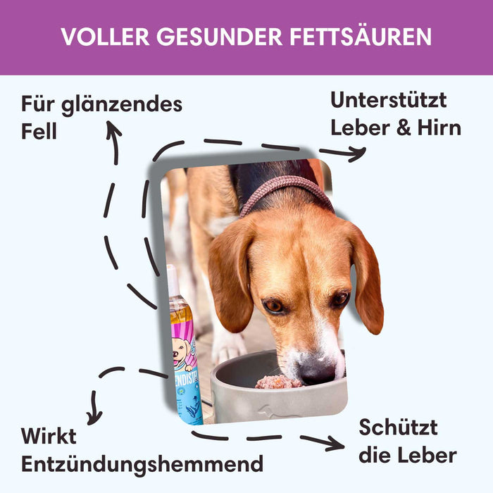 Mariendistelöl - Für Leber, Haut & Fell