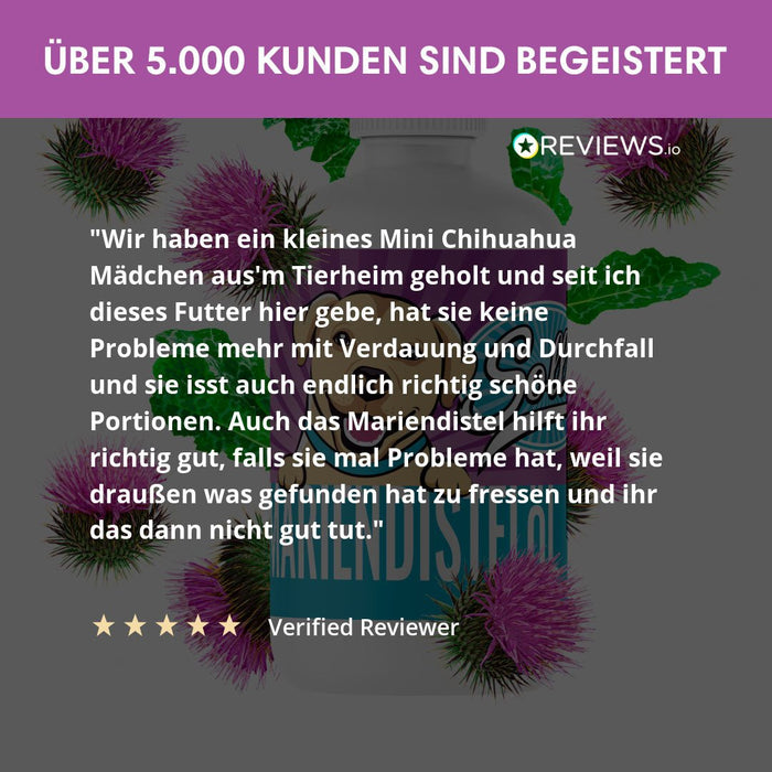 Mariendistelöl - Für Leber, Haut & Fell