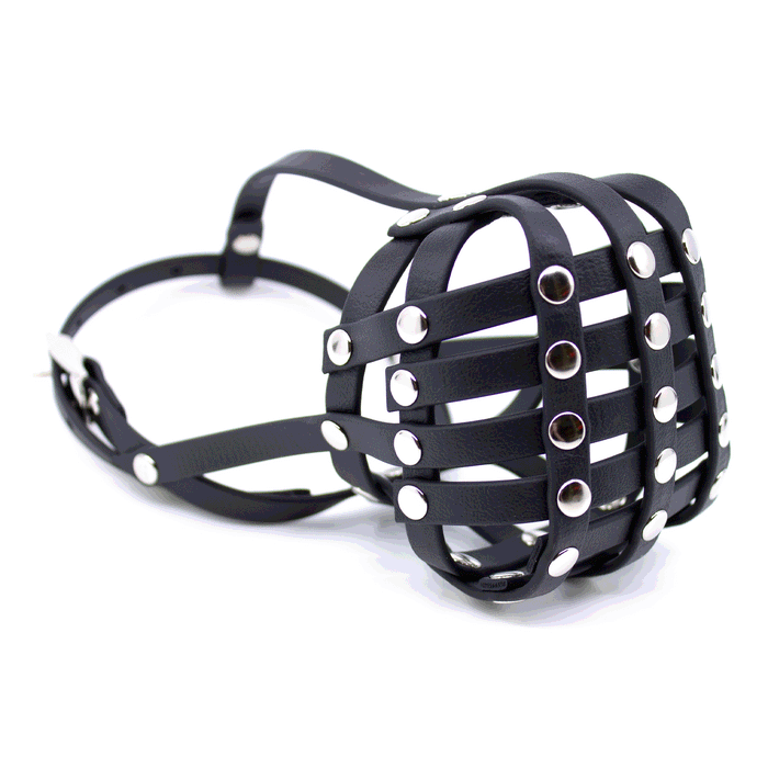 BioThane® Maulkorb Boston Terrier ca. 5-9kg längere Schnauze (Umfang 20-22cm, NL ca. 3-5cm)