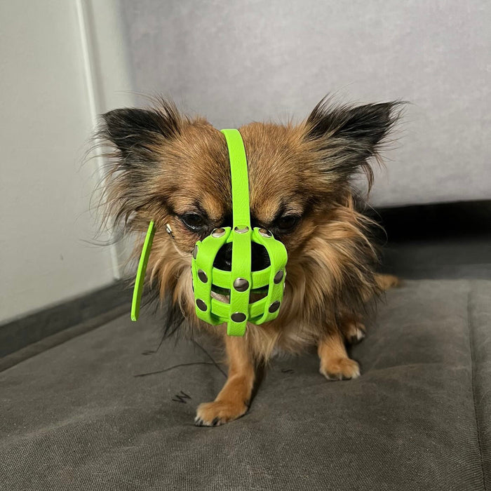 BioThane® Maulkorb Chihuahua ca. 2-3kg kurze Schnauze (Umfang 11-13cm, NL bis 3cm)