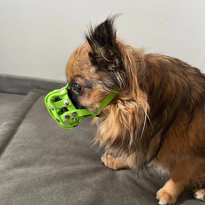 BioThane® Maulkorb Chihuahua ca. 2-3kg kurze Schnauze (Umfang 11-13cm, NL bis 3cm)