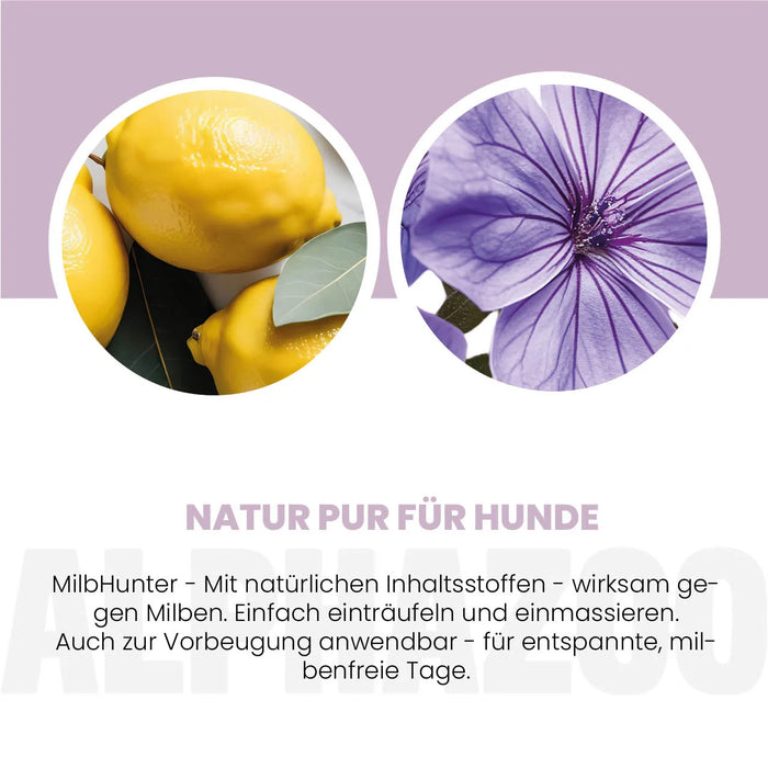 MilbHunter Spot-On für Hunde