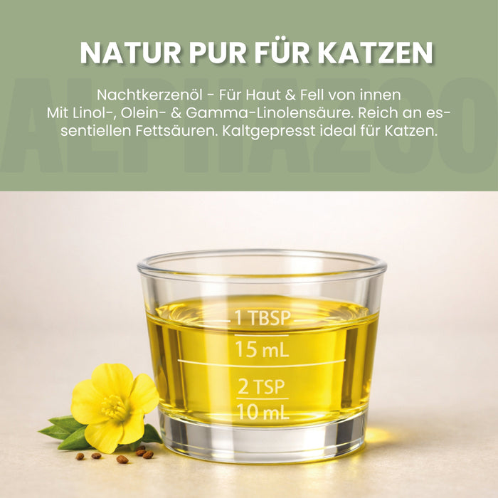 Nachtkerzenöl für Katzen