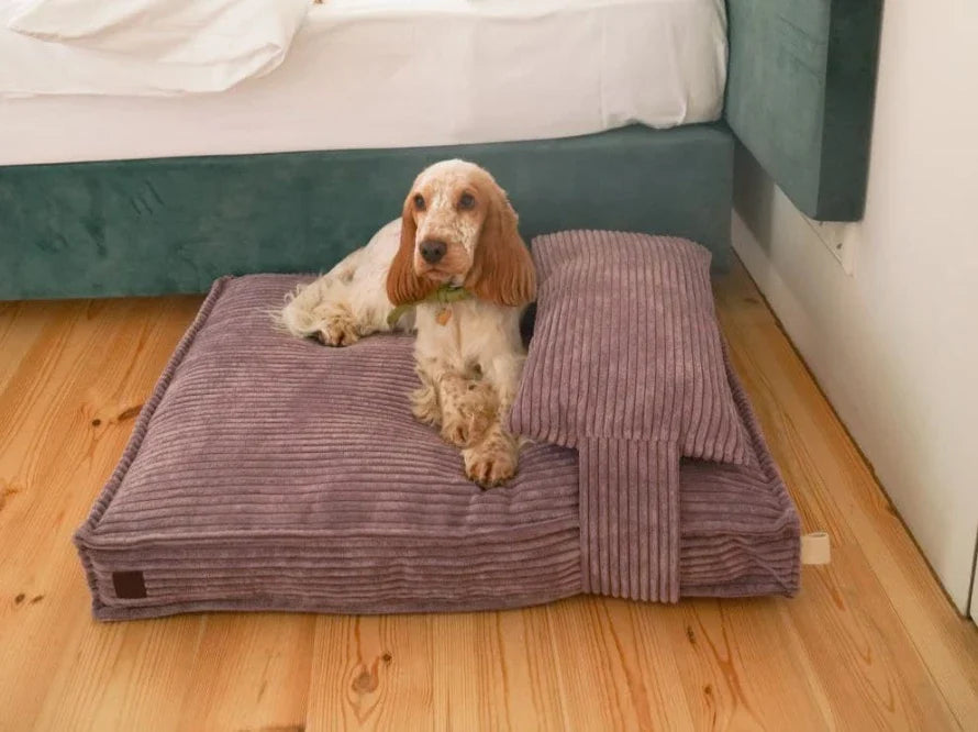 Orthopädische MEMORY FOAM Hundekissen aus Möbelcord / Premium Hundebett für mittlere und große Hunde / Hundematratze