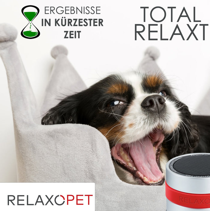 PRO | Entspannungs-Trainer HUND