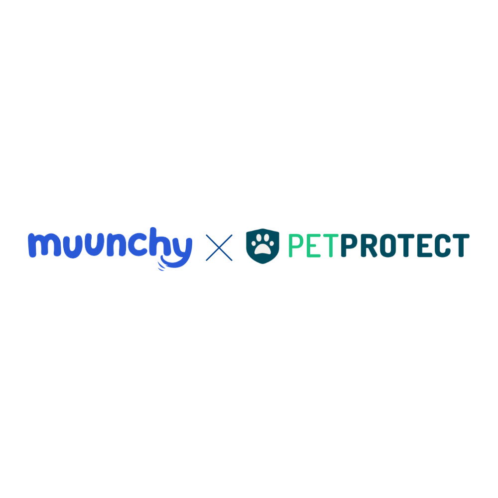Tierisch gut versichert - mit petprotect x muunchy