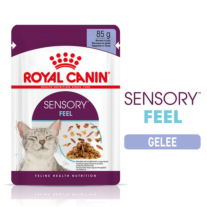 Royal Canin FHN Sensory Feel Jelly FB 4x85g