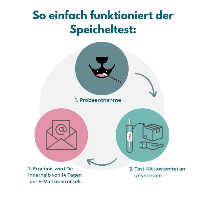 Inhalationsallergene-Test Hund