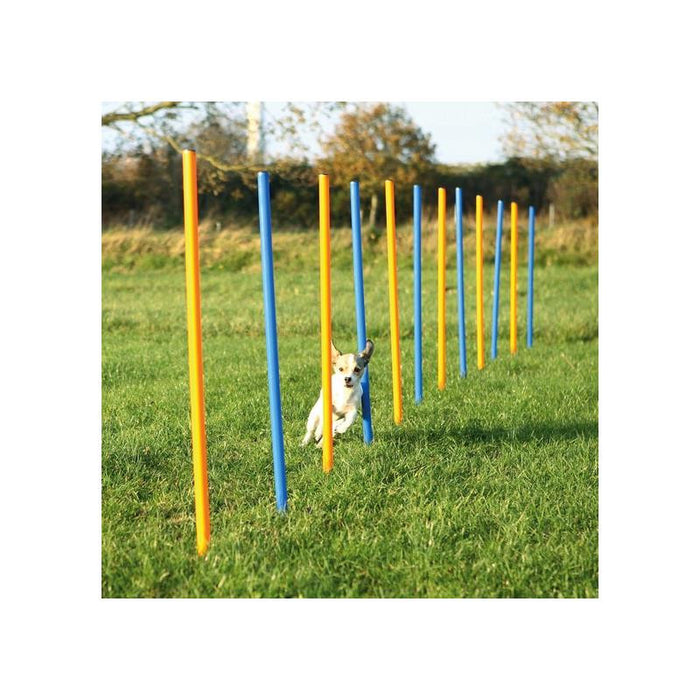 Trixie Activity Agility Slalom