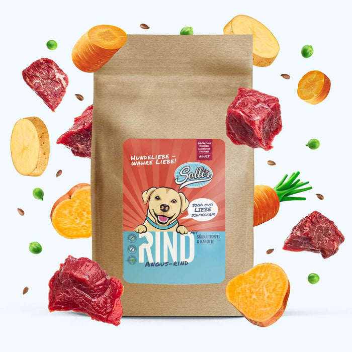 Trockenfutter Angus-Rind | Adult-Regular