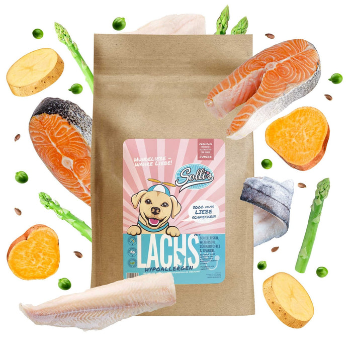 Trockenfutter Lachs | Welpenfutter-Regular