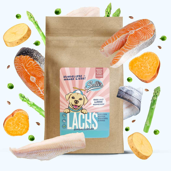 Trockenfutter Lachs | Welpenfutter-Regular