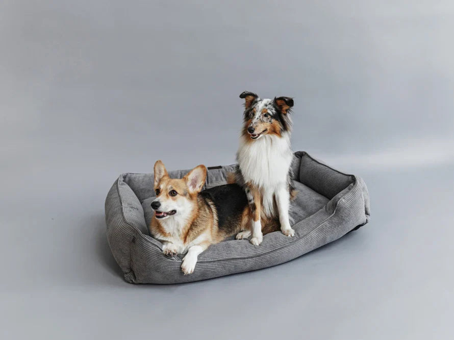 DREAMER orthopädisches Hundebett aus Möbelcord mit Handwerklich/ Höchste Funktionalität