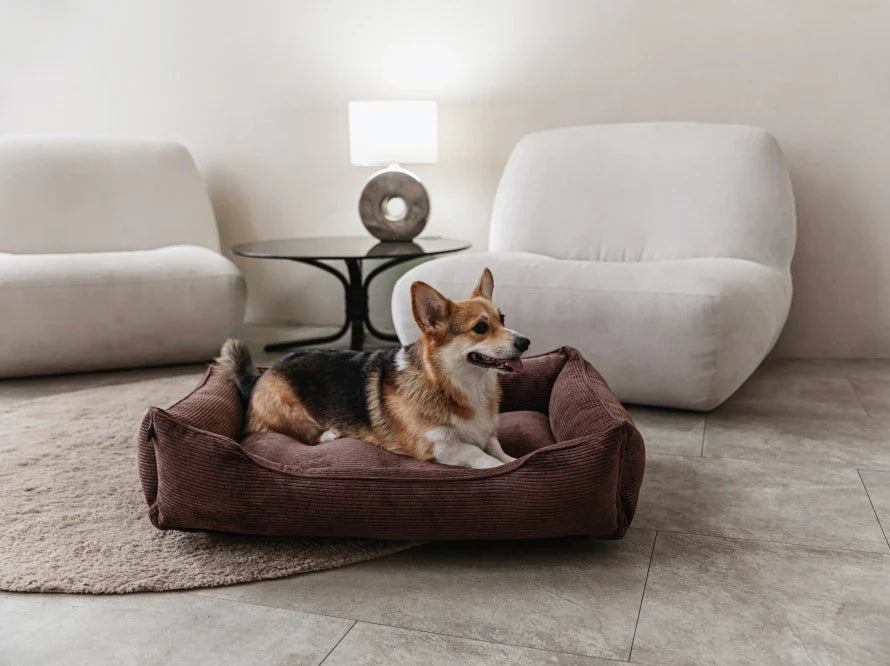 DREAMER orthopädisches Hundebett aus Möbelcord mit Handwerklich/ Höchste Funktionalität