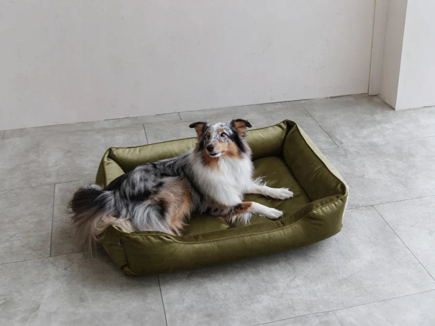 DREAMER orthopädisches Hundebett aus Möbelvelours / gegen Graben und Buddeln resistent