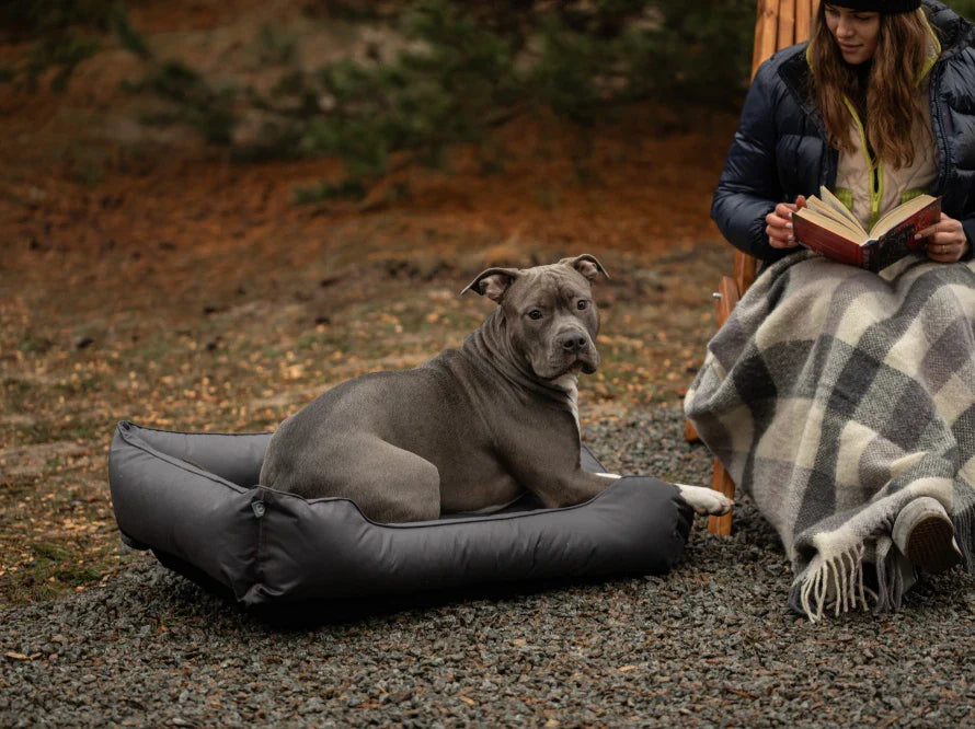 DREAMER wasserabweisendes Hundebett mit Handwerklich